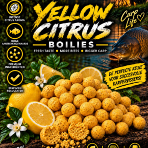 Yellow Citrus