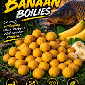 Banaan